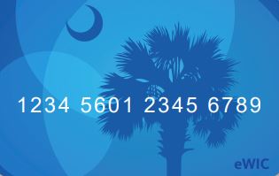 Credit card example image