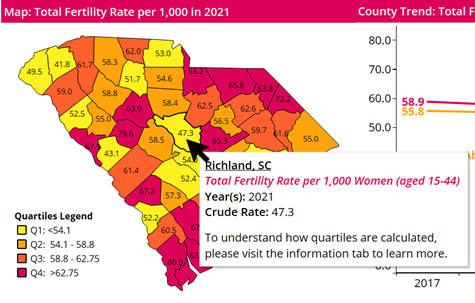 Navigating the Women's Health and Birth Trends Dashboard | South ...
