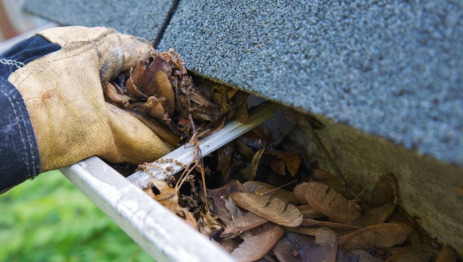 Cleaning Gutter