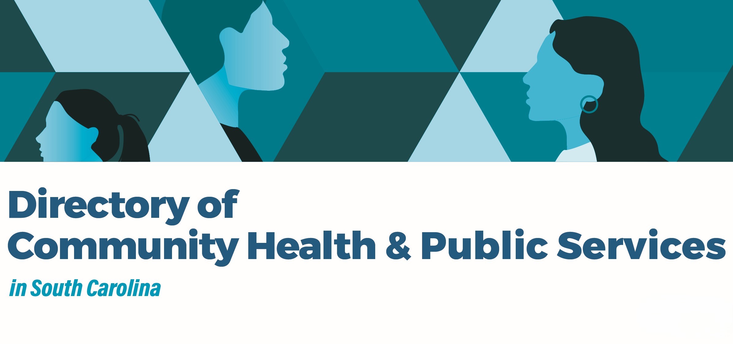 Director of Community Health & Public Services