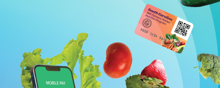 credit card, phone pay app, and fruits and vegetables floating on a blue background